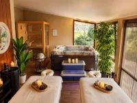 Casa Dives - Varianta Boierească - spa