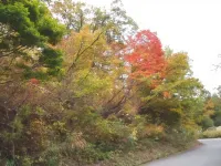Shinazawa