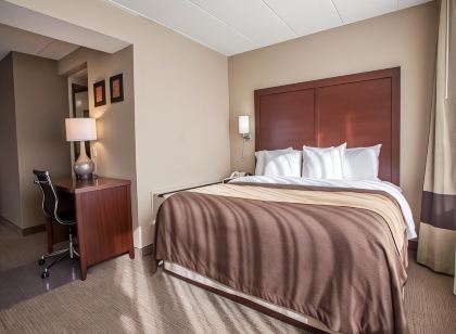 Quality Inn & Suites Orland Park - Chicago