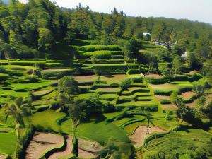 Lingkung Park Tetebatu