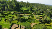 Lingkung Park Tetebatu Hotels in Sikur