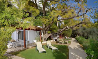 Amirey Hagalil Boutique Hotel