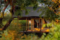 Camp Sabali & Safaris