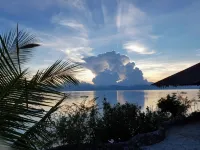 Dolphin House Resort Moalboal - Resorts