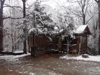 Peace-in-the-Forest Retreat - Singles, Couples, Artists, Forest Lovers