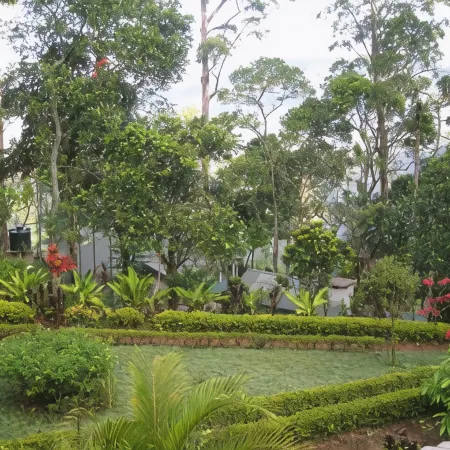Sunnyside Holiday Bungalow