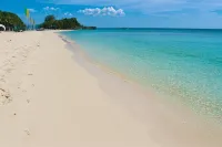 Aloe de Diniwid