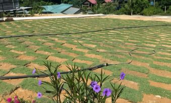 Dnamie Glamping - Lux Tent
