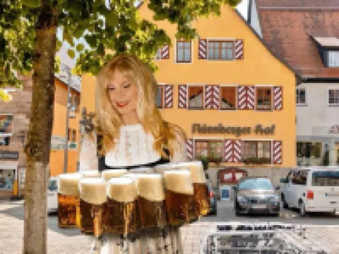 Hotel Nürnberger Hof in Altdorf Hotels in Nurnberger Land