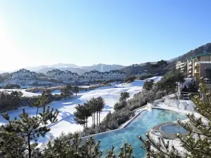 소노펠리체 빌리지 비발디파크