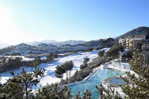 소노펠리체 빌리지 비발디파크
