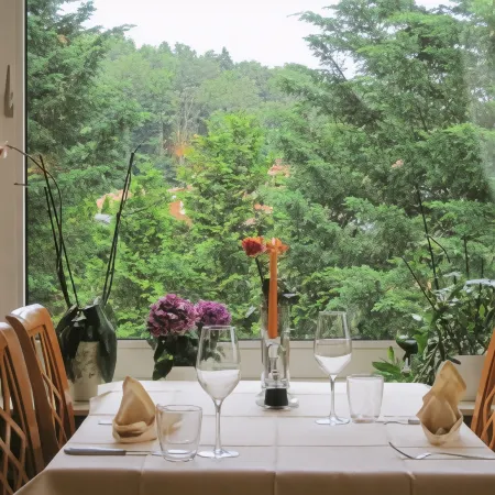 Hotel-Restaurant Fasanerie