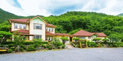 Edel Weiss Pension in Cheongdo Hotel in zona Gajisan