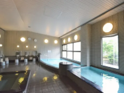 Isawa No Sato Hotels in Shiso