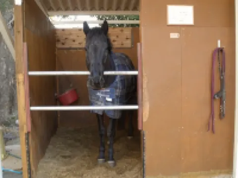 桜ホテル 大網店 大網白里のホテル