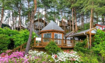 Hoengseong Lovestar in Forest Pension