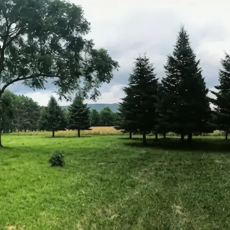 Historic 1874 Farm House at Foot of Gunks