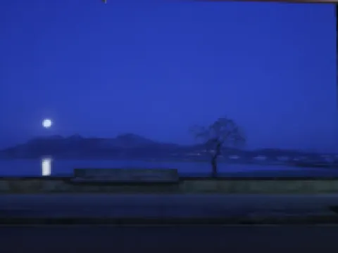 Apartamentos Llevant