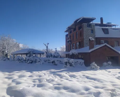 Chateau Chikovani - Pet friendly