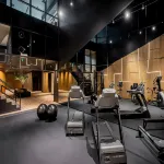 HF Ipanema Park - Gym
