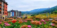 Qingshan Villa Hotels in 