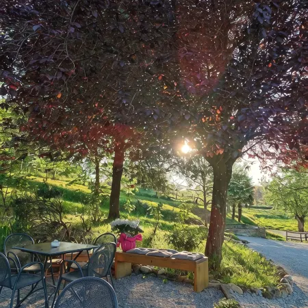Living according to Nature, with comforts, 2 steps from the center & the highway