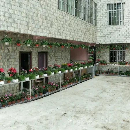 Anning Ainia Homestay