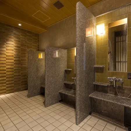 Dormy Inn Premium Kanda