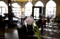 Z&B Hotel