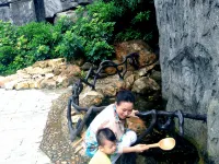 Longjun Homeland Chain Hotel (Bama) - balcony