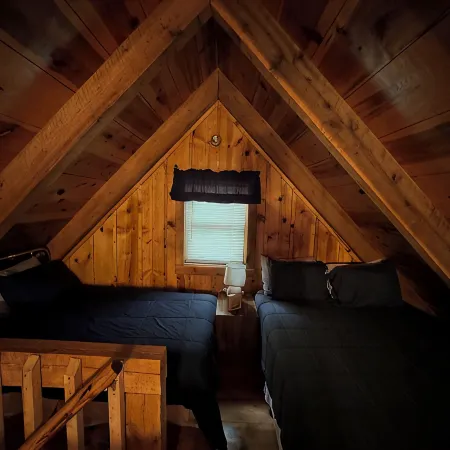 Serene cabin with dock/swim platform in charming Speedwell