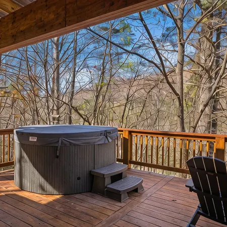 Cozy cabin in awesome Asheville, Hot tub, Fire pit, Dog friendly