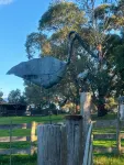 Rural Retreat - 5 mins from town and beaches - Homestays