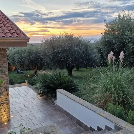 Cozy villa with pool nestled among the ancient olive trees of Cilento
