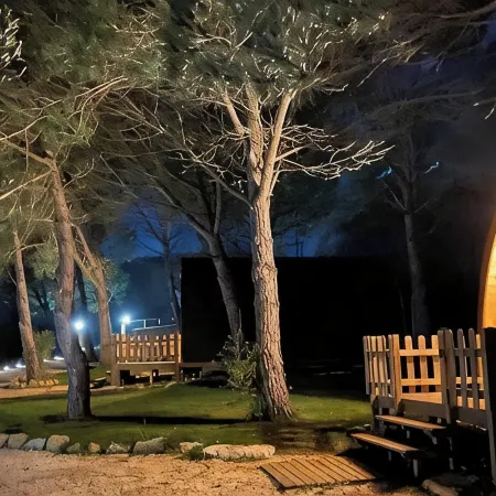 Glamping Sintra. Enjoy the tranquility of the forest.