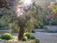 Mas Dagan, vacation apartments in Saint Remy to dream away on a romantic estate Hotels in Noves