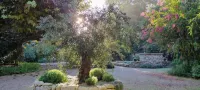Mas Dagan, vacation apartments in Saint Remy to dream away on a romantic estate