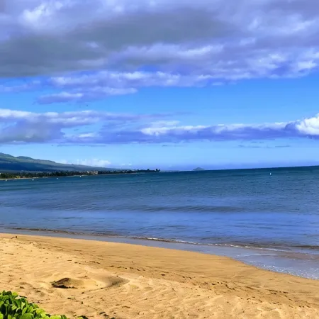 Ohana Paradise w/ Ocean View,  Longest Beach on Maui, Sugar Beach, Sleeps 4