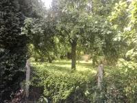 Large Normandy house with SPA - Huvilat