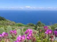 Finca El Lance the green oasis in the north of Tenerife