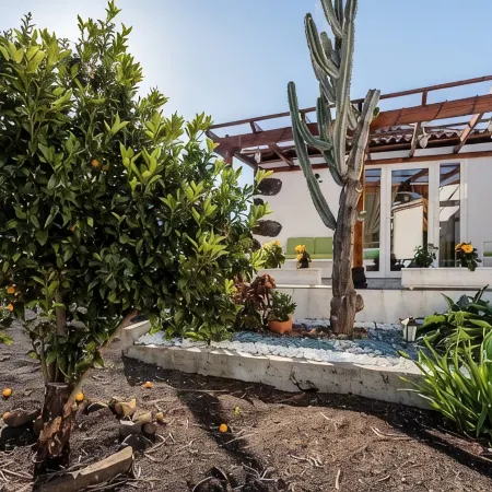 Los Laureles Bungalow