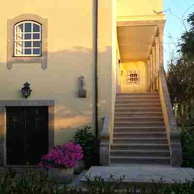 Guest house/apartment Hotel Exterior