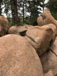 Private neighborhood home in Payson - gorgeous getaway with in town convenience!