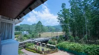 HillView Munnar - Mountain view