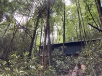 Remote cabin with creek and waterfall views 10 min from town