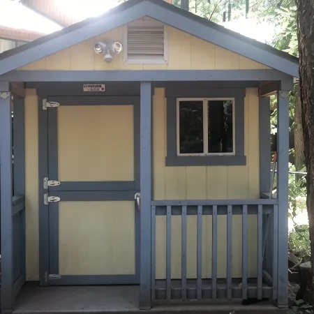 Paradise Cabin in the Pines<br>Comfortable Patios and porch swing <br>Watch kids play