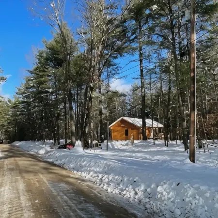 New Log Mountain Home 2023.