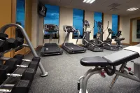 Hilton Garden Inn Monterrey Airport - Gym
