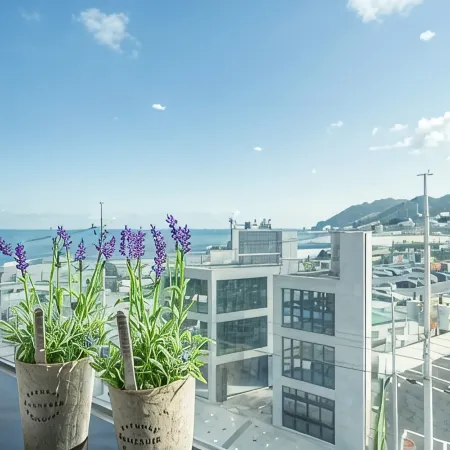 Songjeong Blue Castle Hotel