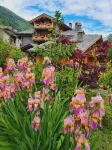 Affittacamere Annie-Parblanc - Homestays